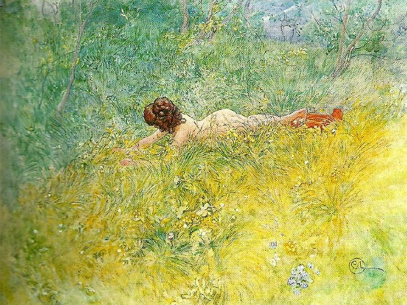Carl Larsson i grongraset-modellen tager solbad oil painting image